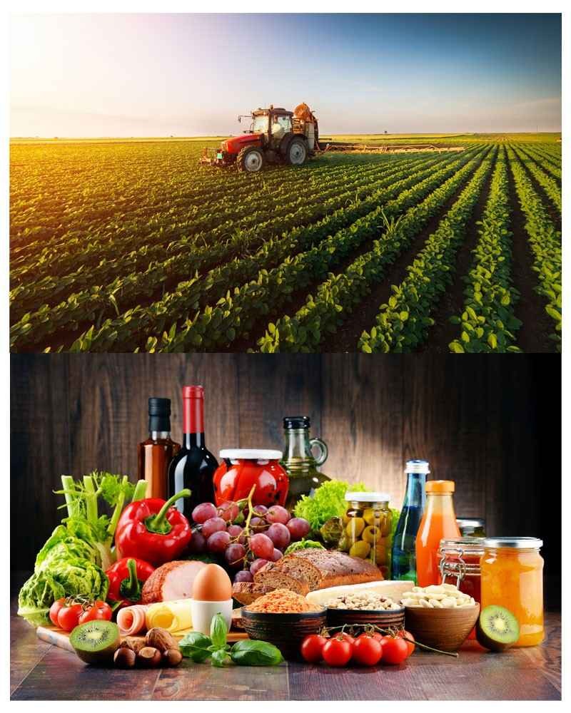 Agriculture / Food & Beverage